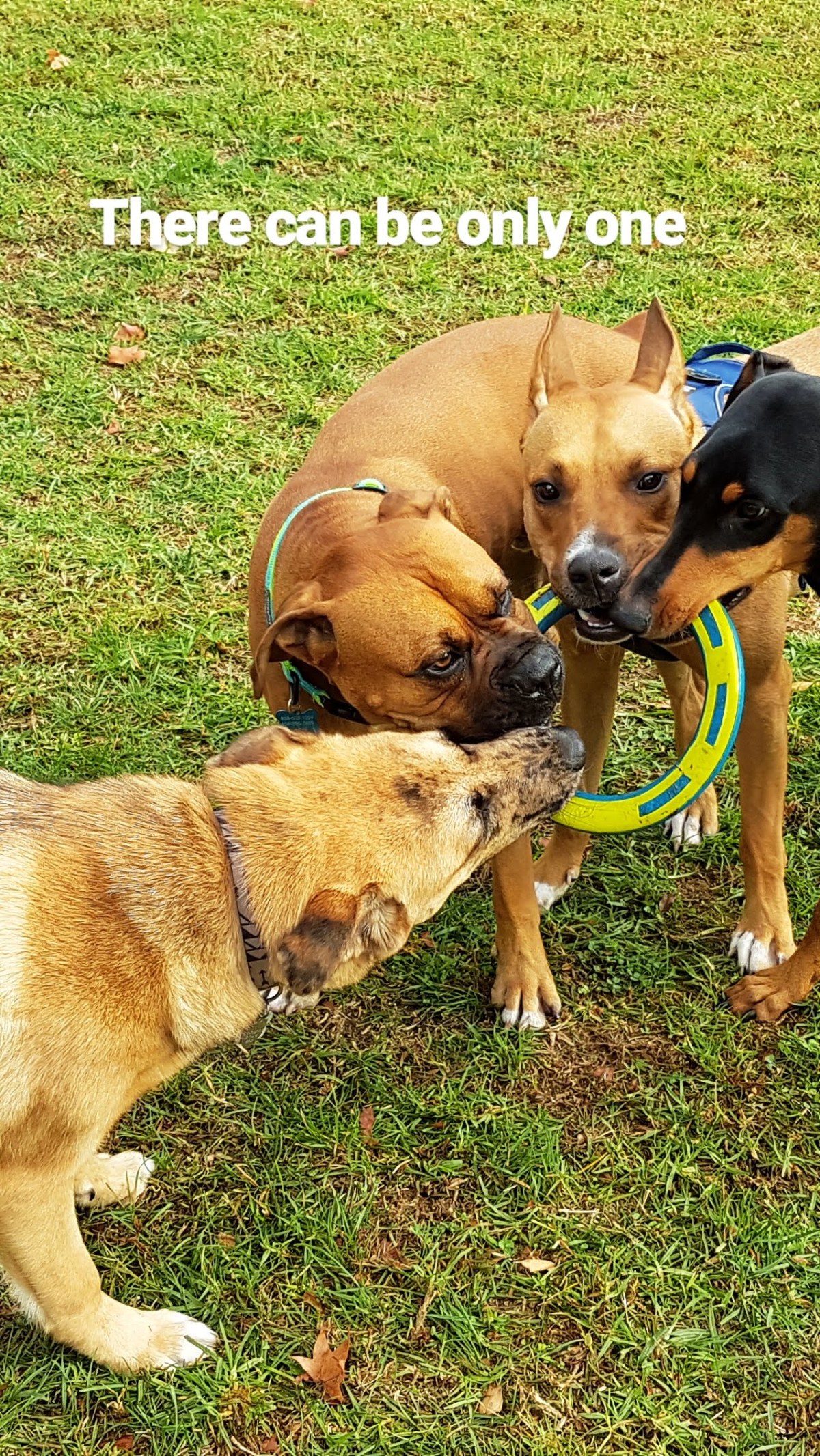 IMG_20171212_113814_341