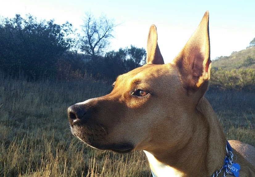 IMG_20180207_161944_506