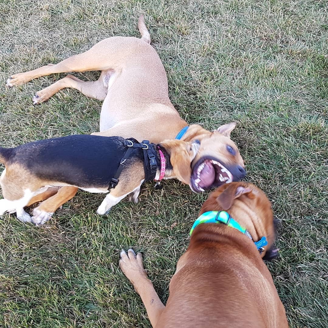 IMG_20180321_222710_901