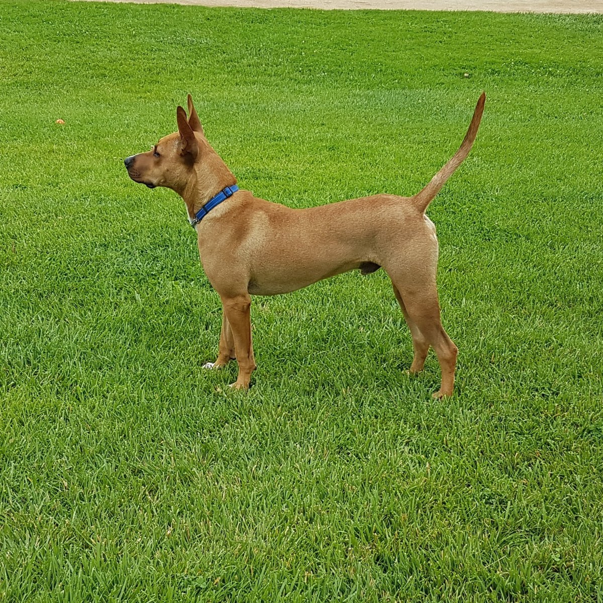 IMG_20180321_224405_617